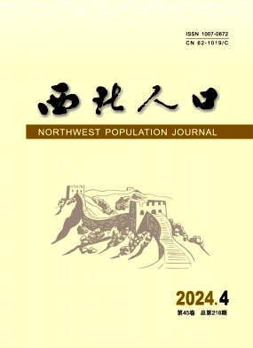 西北人口封面
